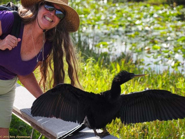 Elena hams it up with a feathered friend in Everglades National Park during a 2016 visit. Image: Terry Zimmerman
