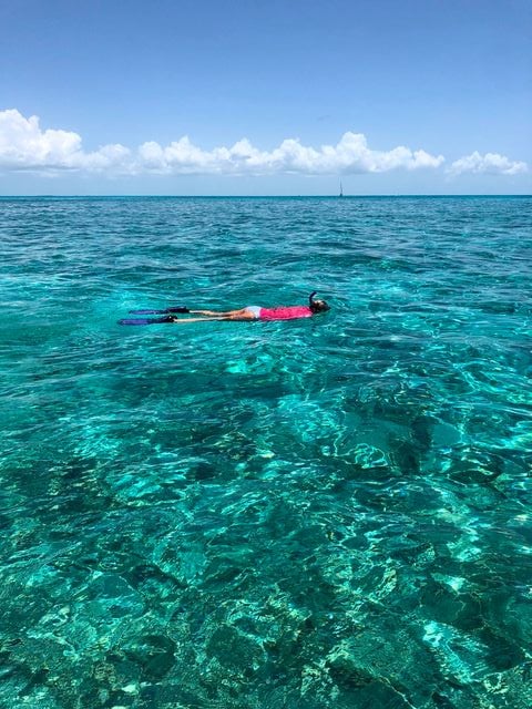 Snorkeling the shallow, clear reefs is an unmatched activity that can be enjoyed by everyone. Image: Malorie Young/Florida Keys Photo Adventure 