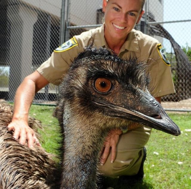 The Florida Keys Sheriff’s Animal Farm operates primarily on donations. 