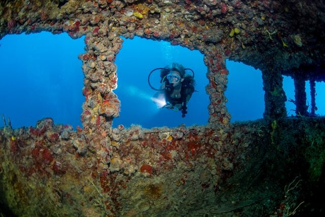A diver explores the rich aquatic life on the Thunderbolt. Photo: Stephen Frink