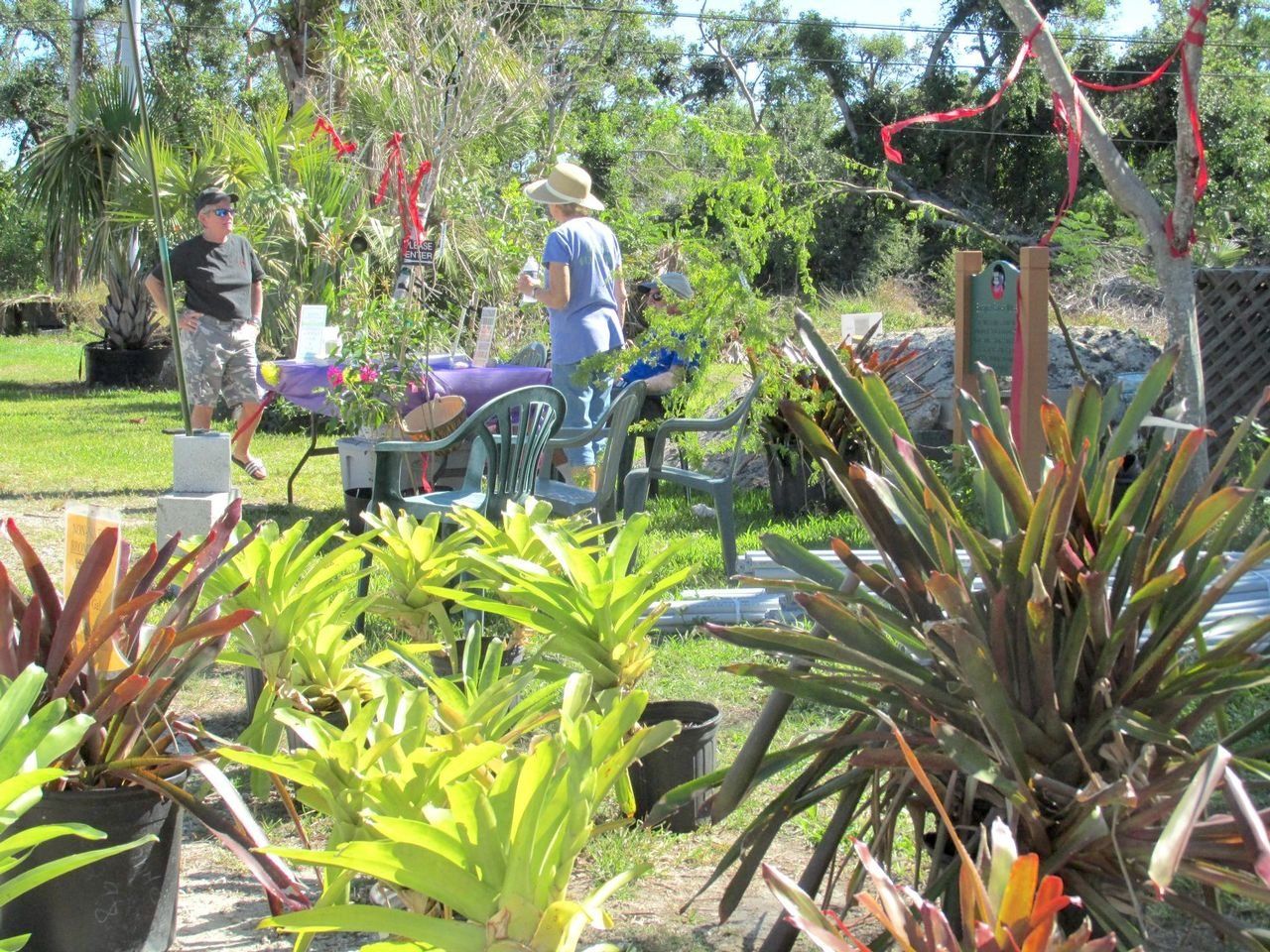 Nature lovers can enjoy an exhibition and sale of rare plants, explore the unique Key West Tropical Forest & Botanical Garden and discover fine arts and crafts during the 20th annual GardenFest Key West: The Green Market Place.