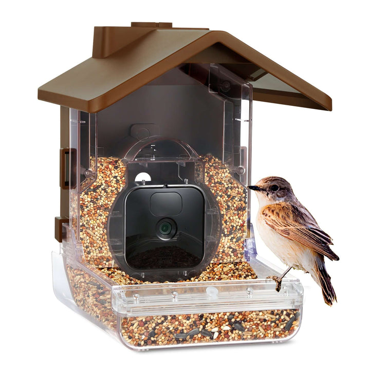 Bird Feeder