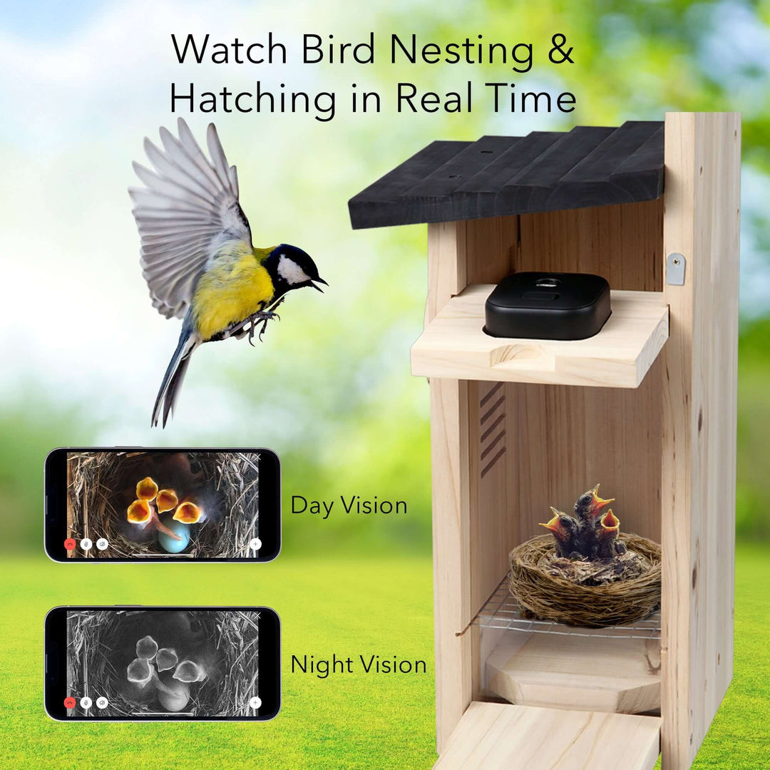 Wasserstein Wooden Birdhouse for Blink Outdoor 3/4 and Ring Stick Up Cam