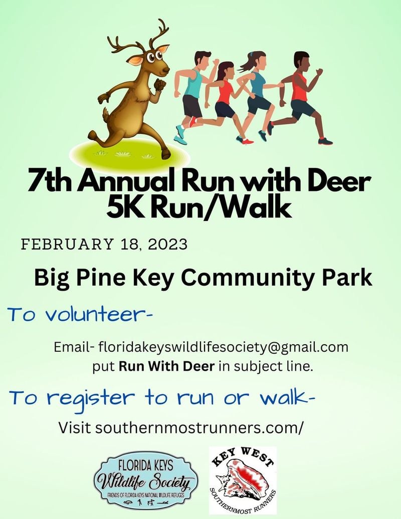 Image for Run with Deer 5k