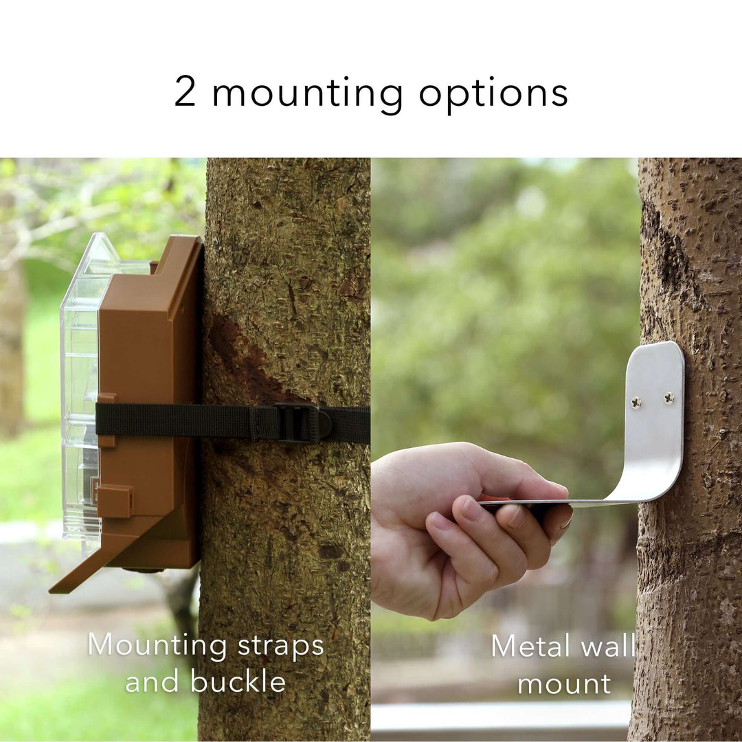 Bird Feeder for Wyze Cam Outdoor