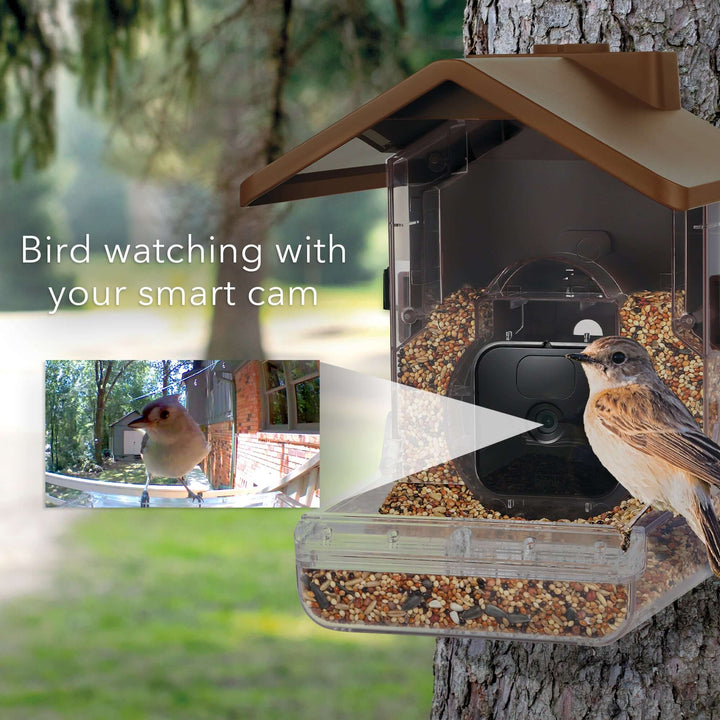 Bird Feeder for Camera