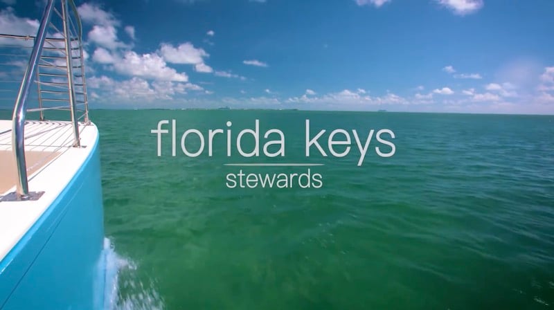 Florida Keys Stewards