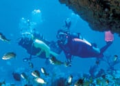 Lower Keys Diving & Snorkeling