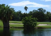 Key Largo Golfing