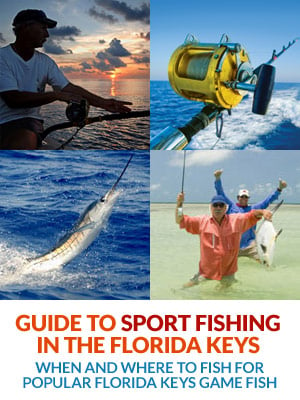 Guide to Sport Fishing in the Florida Keys