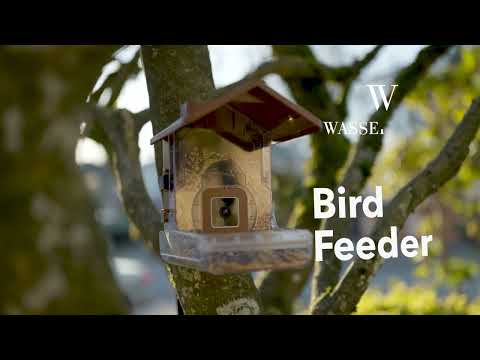 Wasserstein Bird Feeder Camera Case for Ring, Blink & Wyze Cams