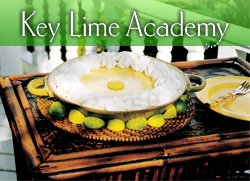 Key Lime Academy Logo