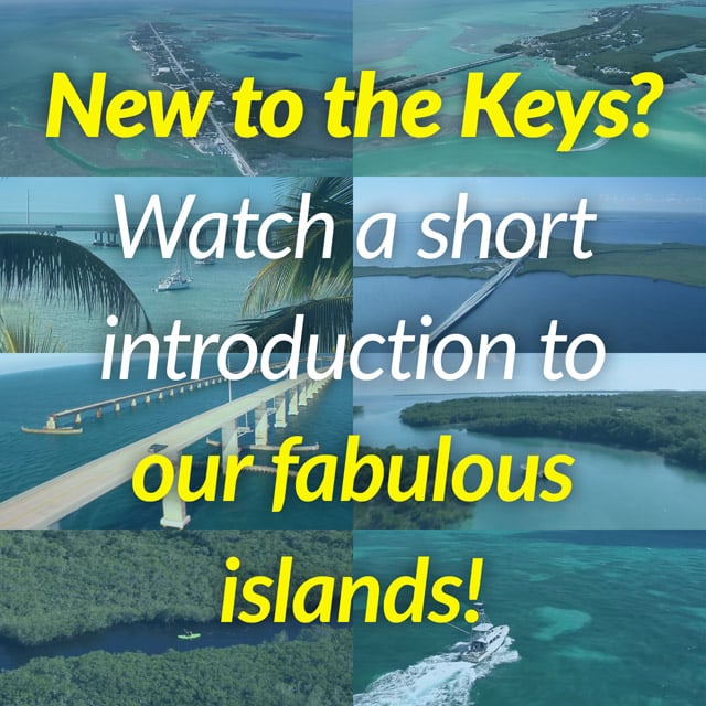 Watch a short introduction to the fabulous Florida Keys!