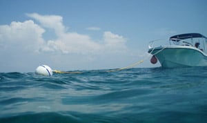 Boat Tied to Mooring Buoy in the Florida Keys