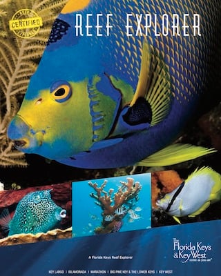 Become a Florida Keys Reef Explorer