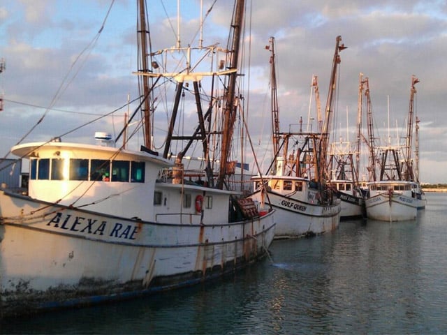 Stock Island fishing boats