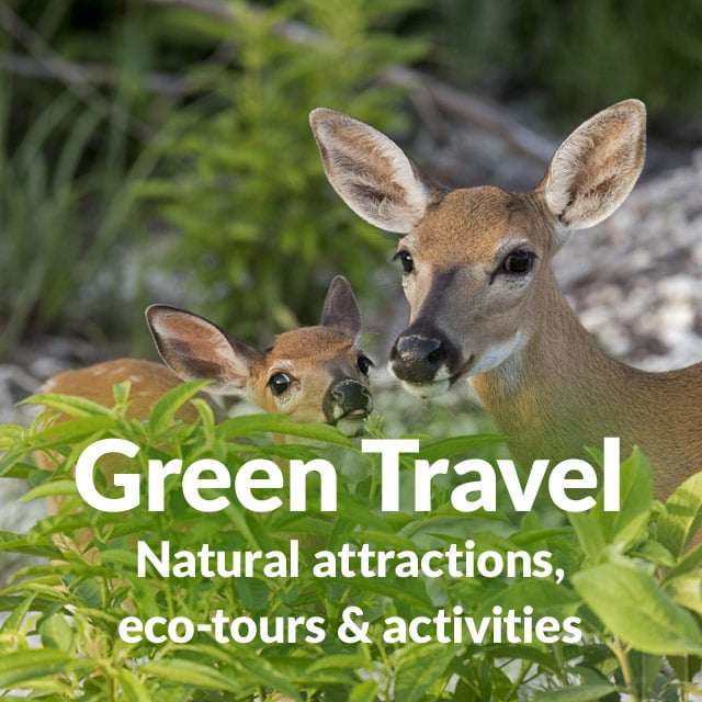 Green Travel: Natural attractions, eco-tours & activities