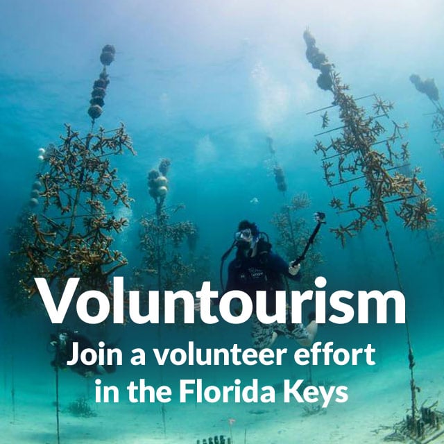 Voluntourism: Join a volunteer effort in the Florida Keys